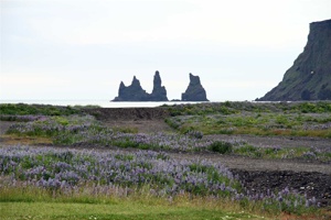 IMG_7387.jpg