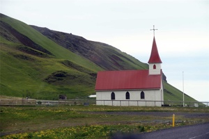 IMG_7431.jpg