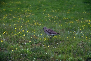 IMG_7489.jpg