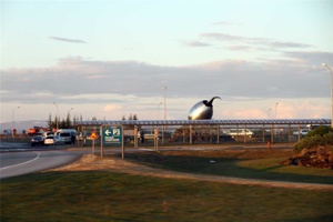 ABZ-1211.jpg