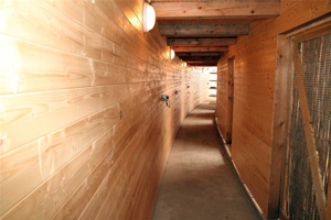 ABX-041.jpg