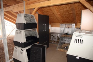 ABX-057.jpg