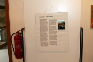 ACJ-011.jpg