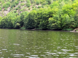 ACC-043.jpg