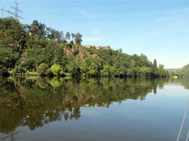 ACK-011.jpg