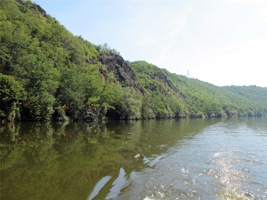 ACK-019.jpg