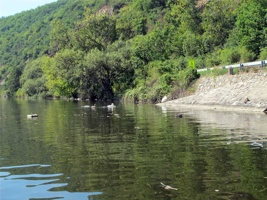 ACK-048.jpg