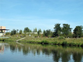 ACK-152.jpg