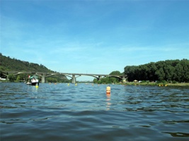 ACK-184.jpg