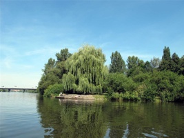 ACK-191.jpg