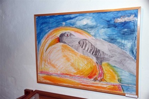 ACM-148.jpg