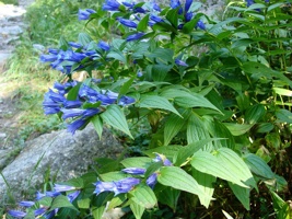 DSC04840.JPG