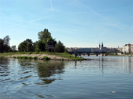 ACO-234.jpg