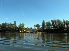 ACO-241.jpg