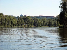 ACO-250.jpg