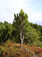 DSC05575.JPG