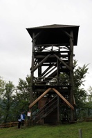 AFP-100