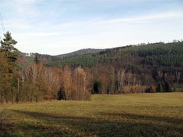RJ-043.jpg