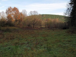 RJ-075.jpg