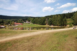 AGP-010