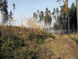 RJ-093.jpg