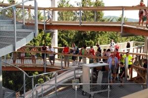 AGP-077