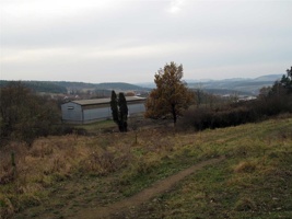 RJ-116.jpg