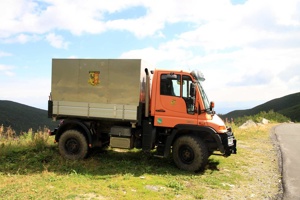 AGT-295