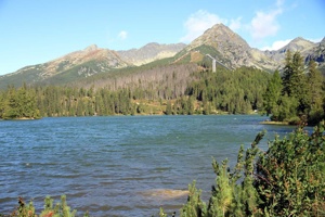 AGU-041