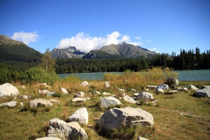 AGU-063
