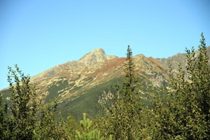 AGU-066