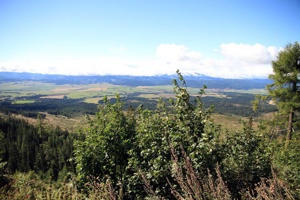 AGU-071