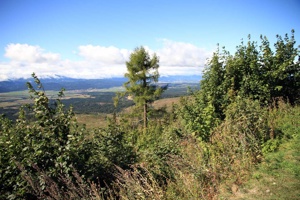 AGU-072
