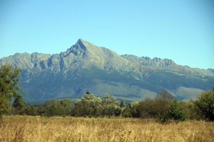 AGU-091