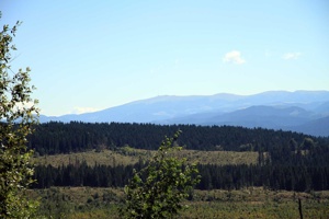 AGU-095