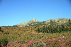AGU-098