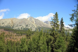 AGU-102