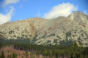 AGU-103