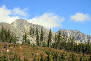 AGU-107