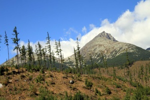 AGU-112