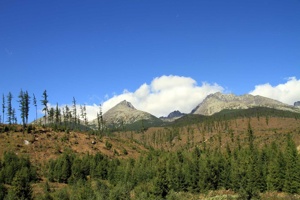 AGU-113