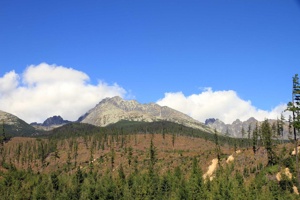 AGU-114