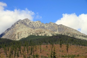 AGU-115