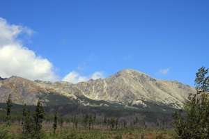 AGU-117