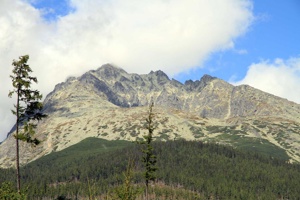 AGU-119
