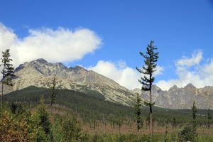 AGU-120