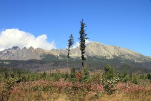 AGU-121