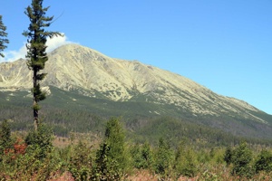 AGU-122