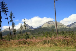 AGU-123