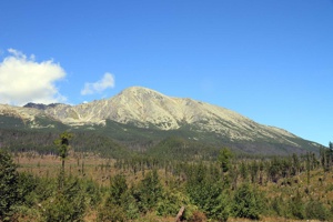 AGU-124